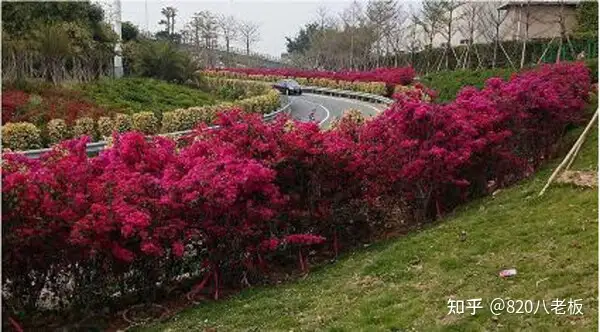 高大上?实际上却很简单的摄影技巧!