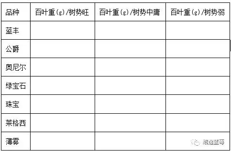 蓝莓修剪周年管理